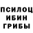 Псилоцибиновые грибы Magic Shrooms Joseph Litzinger