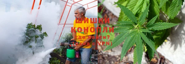ПСИЛОЦИБИНОВЫЕ ГРИБЫ Балабаново