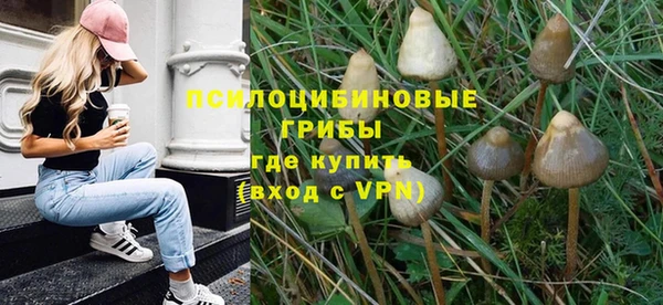 трава Балахна