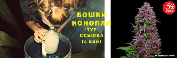 ПСИЛОЦИБИНОВЫЕ ГРИБЫ Балабаново