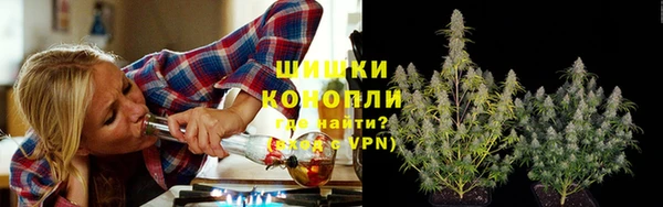 ПСИЛОЦИБИНОВЫЕ ГРИБЫ Балабаново