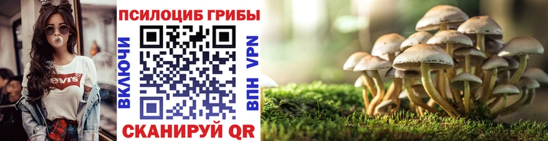 Галлюциногенные грибы Psilocybine cubensis  mega как войти  Лахденпохья  продажа наркотиков 